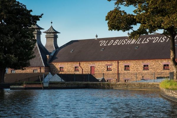 Bushmills distillery